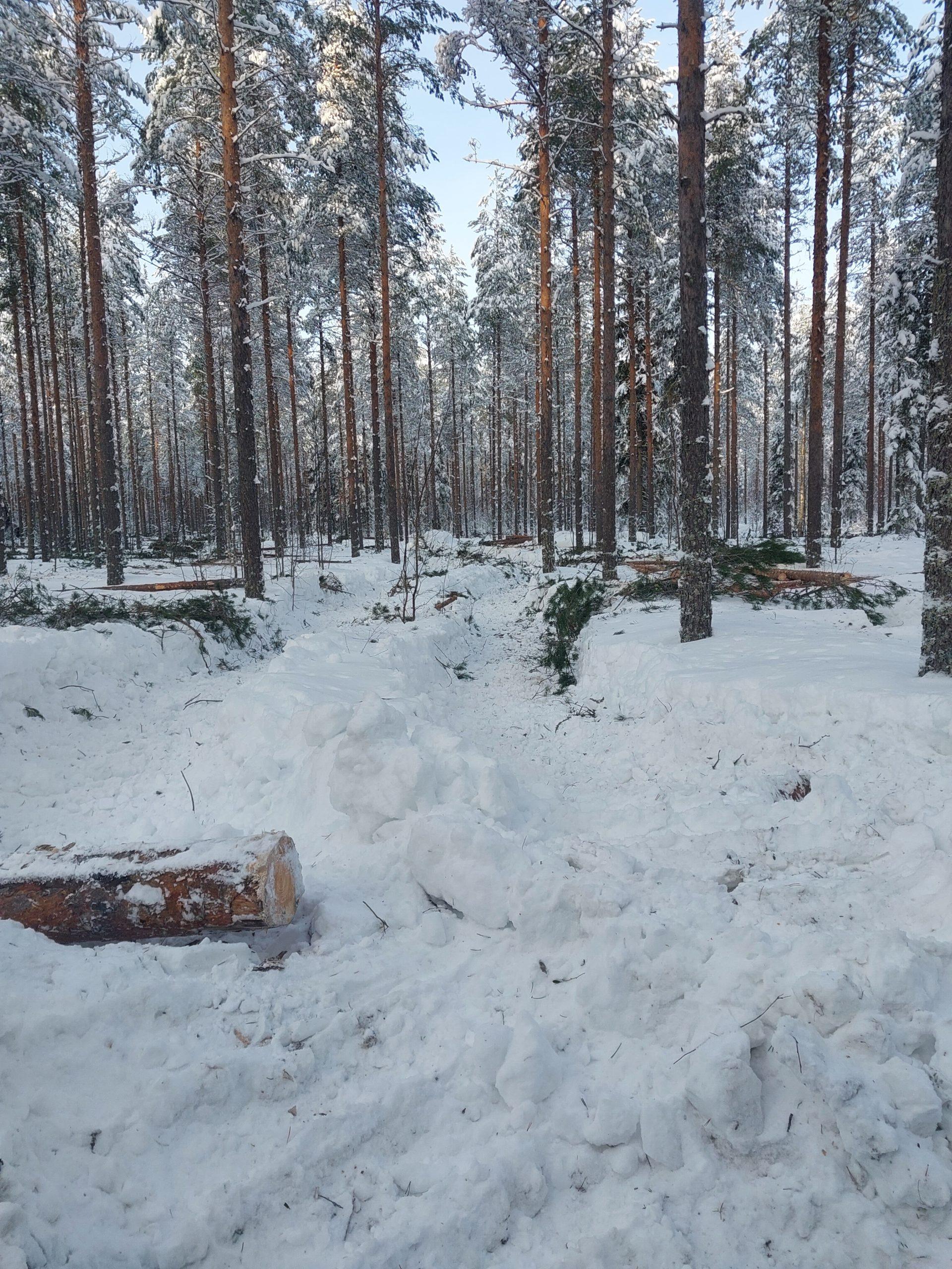 Metsäkone Pirinen Oy