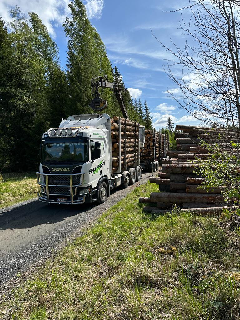 Metsärahti Kivimäki Oy